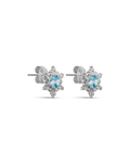 Clous d'oreilles - Iced Princess - 2