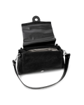 Sac - Shiny Basic - 2
